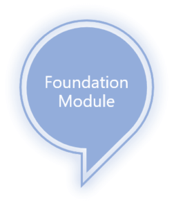 Foundation Module