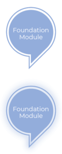 Foundation module