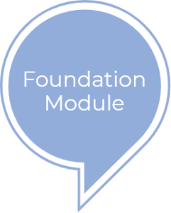 foundation-module